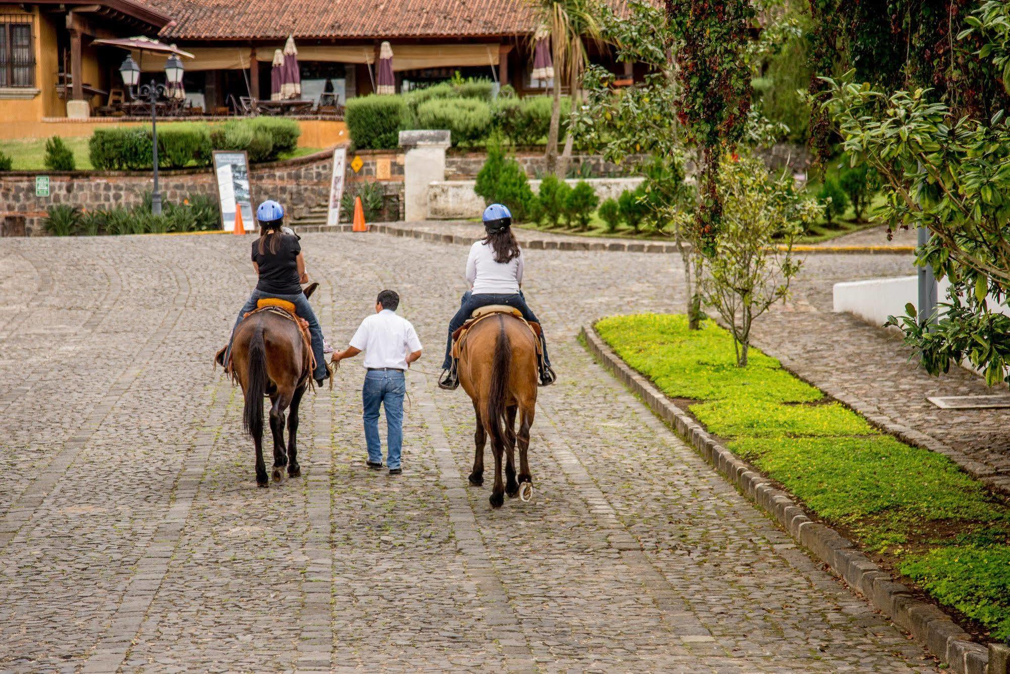 Jocotenango Filadelfia Coffee Resort & Tour מראה חיצוני תמונה
