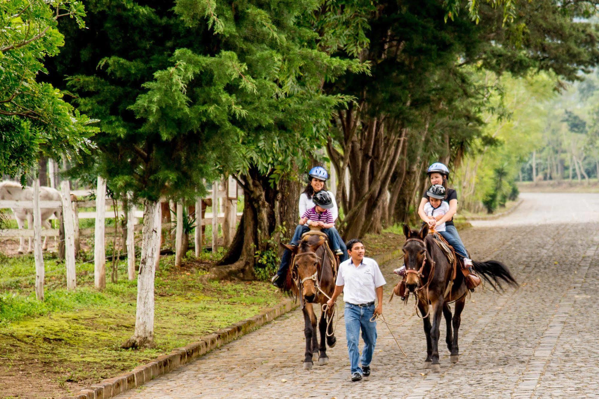 Jocotenango Filadelfia Coffee Resort & Tour מראה חיצוני תמונה